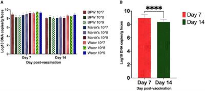 A live attenuated Salmonella Typhimurium vaccine dose and diluent have minimal effects on the caecal microbiota of layer chickens